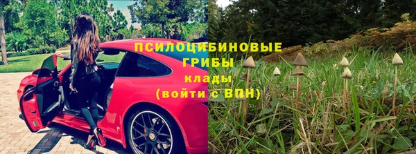 СК Корсаков