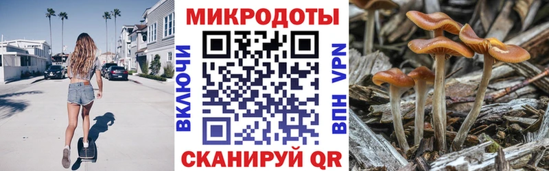 mega онион  Альметьевск  Галлюциногенные грибы мицелий 