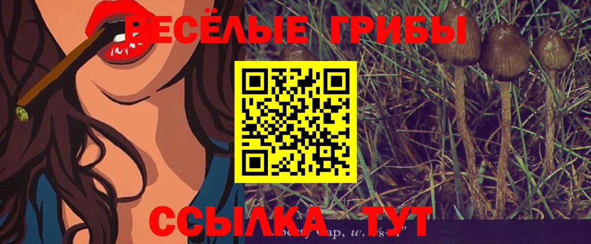 Альметьевск  Псилоцибиновые грибы мухоморы  Вход с VPN  Псилоцибиновые грибы Magic Shrooms 